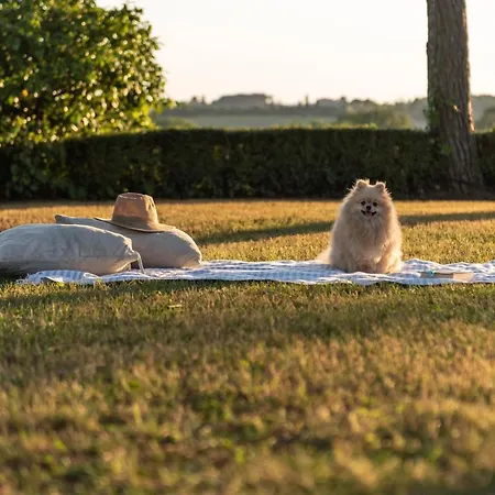Ca Nova Sud Bauernhof *